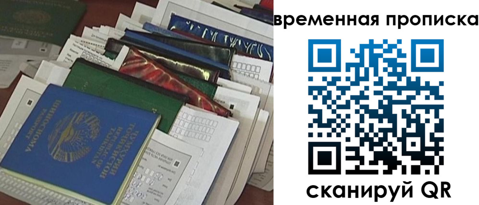 прописка для школы в Ростове-на-Дону